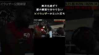 異次元過ぎて誰の練習か分からないメイウェザーのミット打ち#shorts #floydmayweather #mayweather #boxing