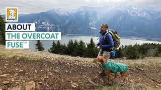 About the Ruffwear Overcoat Fuse™ Dog Jacket with Built-In Harness