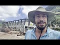 life in the southern most us territory exploring american samoa ep. 166