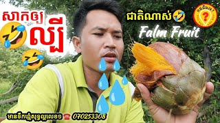 Advantage of Palm fruit ripe អត្ថប្រយោជន៍របស់ផ្លែត្នោត