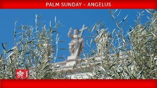 Pope Francis - Celebration of Palm Sunday - Angelus prayer 2019-04-14