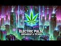 suno.com - Fireblazer v1 | Cannabis Beats, Breakbeat Music, 420 Music, Stoner Beats