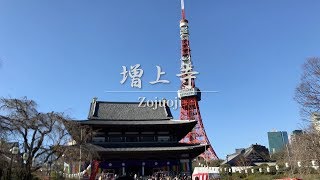 増上寺と東京タワー 2018年新春（箱根駅伝）Zojoji \u0026 Tokyo Tower Hakone Ekiden New Year : Movie by my iPhone