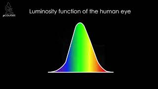 Best Practices for Pseudo-coloring Fluorescence Microscopy Images