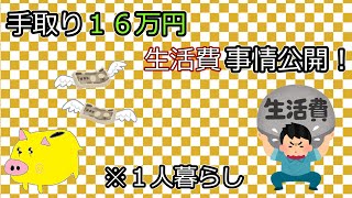 【家計管理】一人暮らしの方必見！手取り１６万の生活費事情がこちらです・・・。（笑）