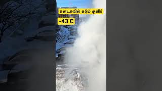 -43*C|கனடாவில் கடும் குளிர்|eattolivechannel|Extreme cold weather in Canada|