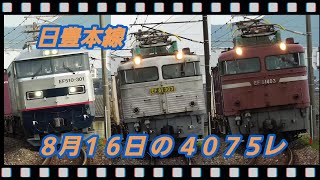 8/16 の 4075レ EF81-406、ED76-1018重単    朽網ー苅田　　　 #日豊本線,#貨物,#4075レ,#ef510,#ef81,#ed76,