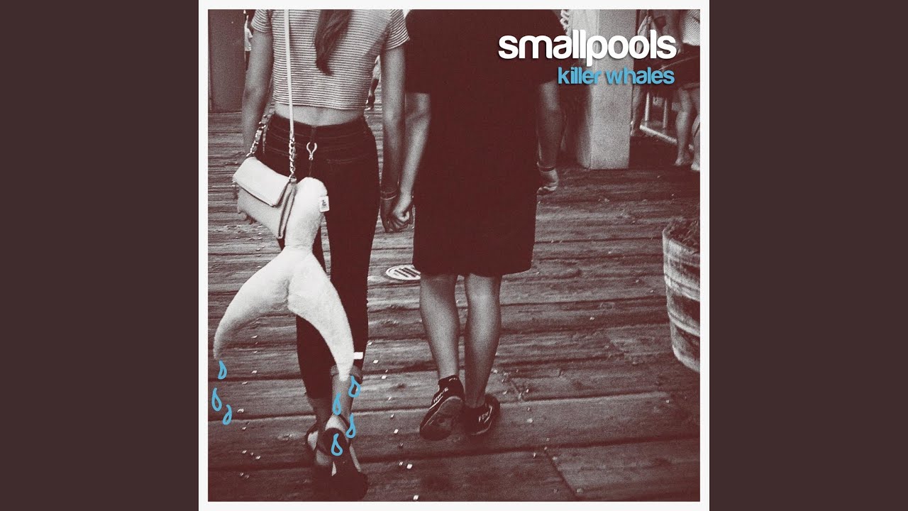 Killer Whales Youtube