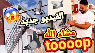 توليعة مع الأخ عيسى الطالعي مشاء الله عندو حمام الخنينسي فالمستوى فرجة ممتعة 😍😍😍😍