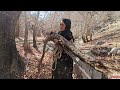 zahra s journey to collect wood with a donkey for her wild shelter