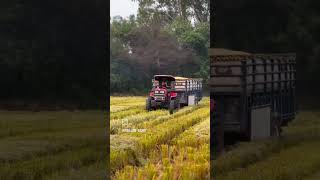 ਬੈਨ ਹੋਇਆ ਸਾਡਾ ਲਾਲਕਾਰਾ ਸੋਹਣੀਏ।🌾🔥💥🌍#punjab#tractor#modified#jattlife#trending#viral#jatt#tractorpb03