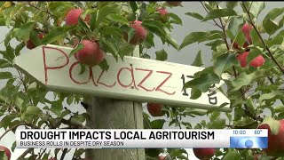 Local agritourism industry experiences impact of drought