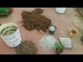 மண்கலவை செய்ய முக்கிய குறிப்புகள் poting mix plant growing tips terrace garden maadithottam