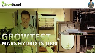 Mars Hydro TS-1000 || Growtest von Growbrand