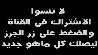 شاهد وزيرة استرالية تشتم الاسلام لكن الرد كان غير متوقع