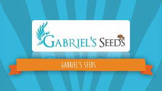 Gabriel's Seeds | Create personalized learning apps