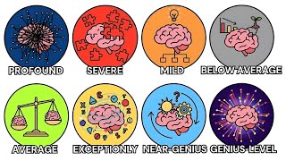 Every Level of Human Intelligence Explained in 22 Minutes