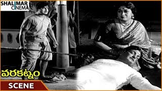 Varakatnam Movie || Satyanarayana Hit Accidentally On NTR || NTR, Krishna Kumari || Shalimarcinema