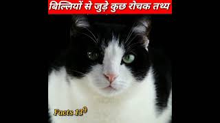 बिल्लियों🐈 से जुड़े कुछ रोचक तथ्य 😃 #Shorts||3 facts about #cat||#factaboutcats