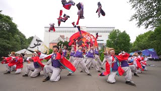 [4K] 長崎大学「突風」　YOSAKOIソーラン祭り 2024 日曜日 道庁赤れんが会場