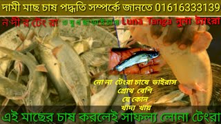 #লোনাটেংরা #নুনা লোনা টেংরা মাছ নোনা টেংরা চাষে সাফল্য বেশি দেখুন এই মাছটেংরা ভাইরাস নেই 01616333139