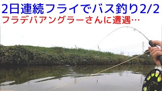 【2/2】2日連続フライでバス釣り 霞水系トップウォーター