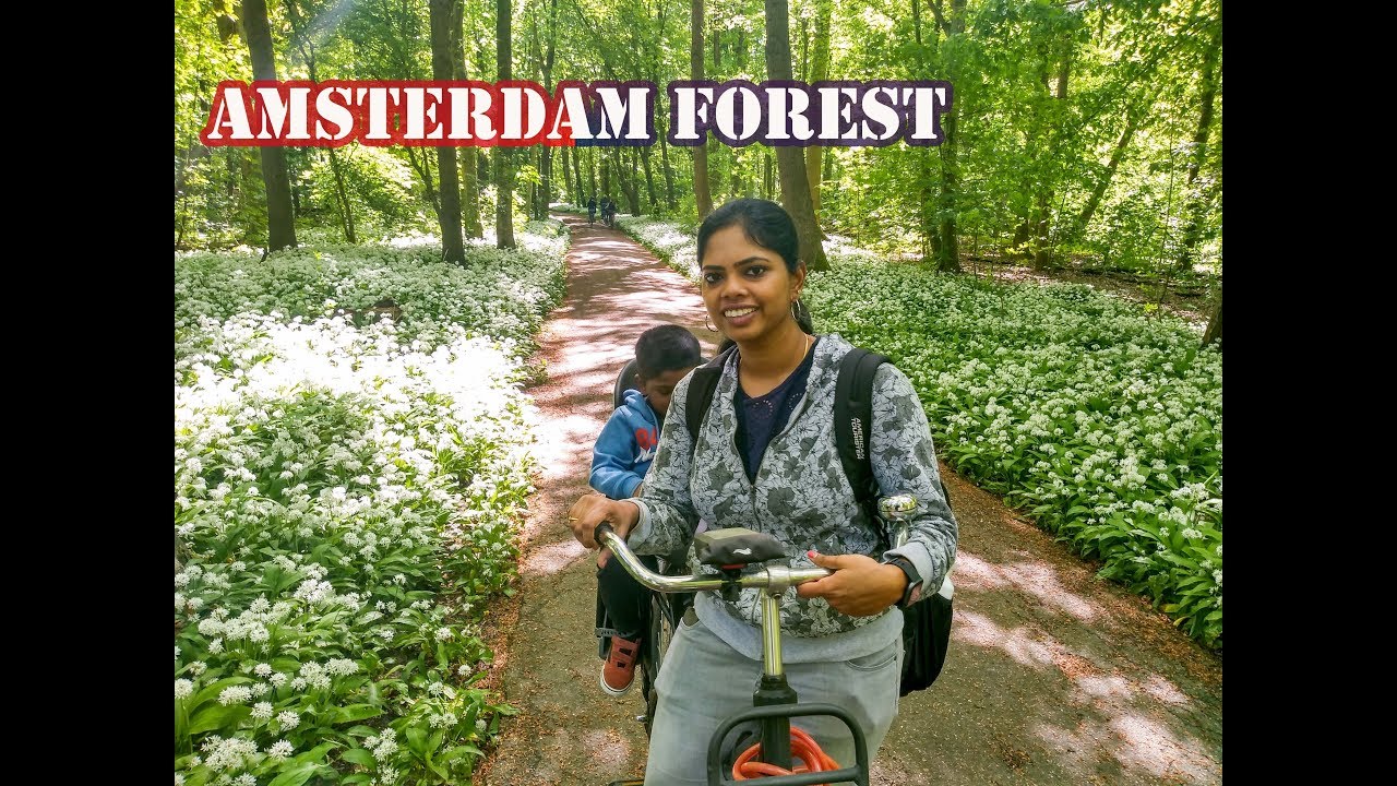 Bike Ride To Amsterdamse Bos Forest || Netherlands Tamil Vlog ...