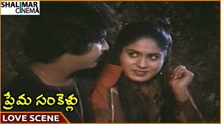 ప్రేమ Sankellu సినిమా || నరేష్ \u0026 Syamala గౌరి బెస్ట్ లవ్ సీన్ || నరేష్, Jaggayya || Shalimarcinema