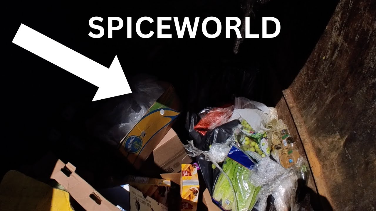 Dumpster Diving At Aldi Cooking Video Youtube