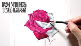 [アキーラ タイムラプス] 2時間40分で描くリアルなバラの花のメイキング | Aqyla Painting Time Lapse