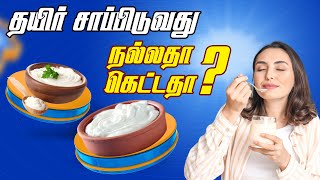 தயிர் சாப்பிடுவது நல்லதா கெட்டதா..! || Eating Curd is Good or Bad || Health King