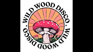 PBR STREETGANG - Mix for WILD WOOD DISCO FESTIVAL