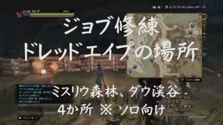 DDON攻略 | LV15以上 LV25以上のドレッドエイプ ジョブ修練 場所 ‐ ドラゴンズドグマオンライン