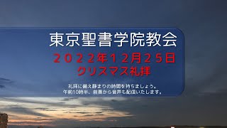 2022年12月25日東京聖書学院教会礼拝　「 愛の力 」　 斎藤　善樹 牧師