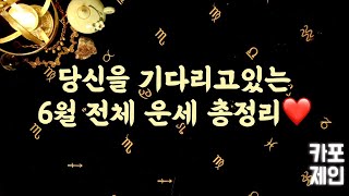 [타로카드 / 월별운세] 🔮6월에는 어떤 운이 기다리고 있을까? (시험 / 취업 / 직장 / 이직 / 사업 / 이사 / 건강 / 투자 / 전체운)🔮