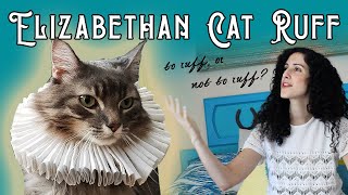 How to Make an Elizabethan Ruff (for your Cat!) | Easy Jacobean—Tudor—Shakespearian Ruff for Pets