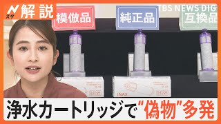 「純正」「模倣」「互換」どう違う？浄水カートリッジの模倣品に注意【Nスタ解説】｜TBS NEWS DIG