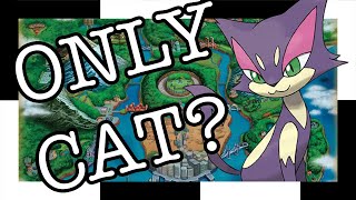 Can I Beat Pokemon Black With Only One Purrloin?