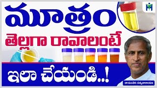 మూత్రం తెల్లగా రావాలంటే ఇలా చేయండి| #Manthena Satyanarayana raju videos | Health Mantra |