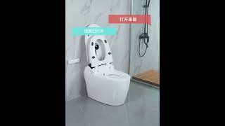 Modern Smart One Piece Toilet