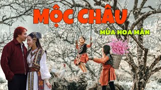 DU LỊCH MỘC CHÂU ( MÙA HOA MẬN ) 2025. Ăn Gì Chơi ở đâu ? Kinh nghiệm du lịch Mộc Châu tất tần tật