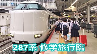 287系使用の修学旅行団体臨時列車