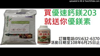 【芒果】20190603-愛文芒果陽光照不到的地方除了拉繩子，用微量元素，可有其他方法？