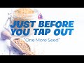 Just Before You Tap Out: One More Seed | Pastor Erick Bowens | 29 January 2023