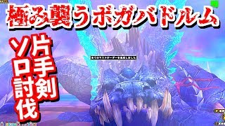 【MHF-ZZ】実装週＆年内達成！極み襲うボガバドルム片手剣ソロ討伐 9ラスタ