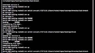 SVN CLI HowTo
