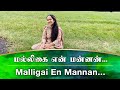 QUARANTINE FROM REALITY | MALLIGAI EN MANNAN | DHEERGA SUMANGALI | Episode 476