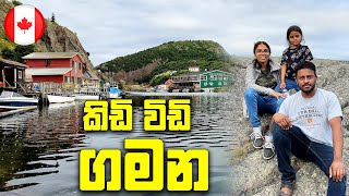 Road Trip එකේදි ගිය තවත් ලස්සනම තැනක් | Quidi Vidi Travel Vlog | Canada Sinhala Vlogs @SehaVlogs