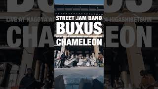 BUXUS - Chameleon (Live At Higashibetsuin) #guitar #live #guitarist #synth