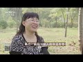 20170721 致富经 两个“疯狂”女人的财富传奇